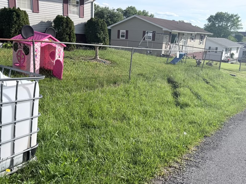 Overgrown lawn before grass cutting