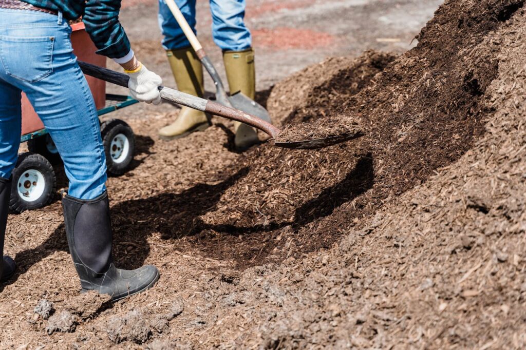 Workers spreading mulch with shovels to enhance soil quality in a landscape.